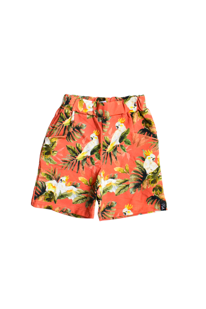 Shortsit, Melli Ecodesign