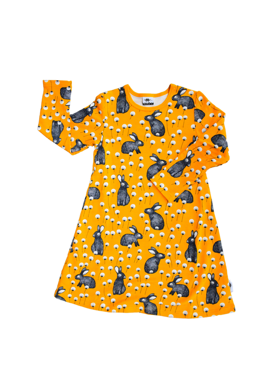 Pitkähihainen mekko, PaaPii